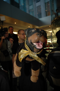 Triumph, the Insult Comic Dog (and a lot of great photographers for me to ...)